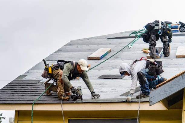 Professional Gutter Installation technician working in Williamsville, VA